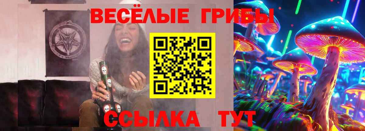 Реутов  Галлюциногенные грибы Cubensis  Вход с VPN 